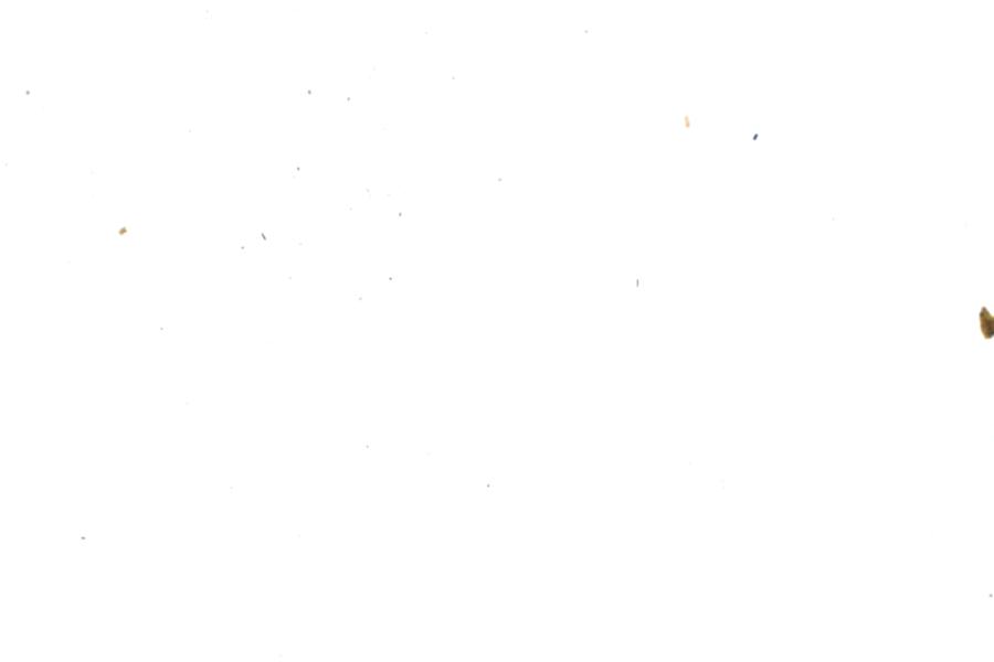 Image 36